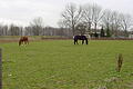 DSC00578 - Bernhard Saalfeld