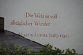 PICT8113 - Bernhard Saalfeld