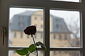 DSC02099 - Bernhard Saalfeld