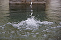 DSC02118 - Bernhard Saalfeld