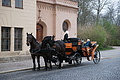 DSC02127 - Bernhard Saalfeld