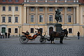 DSC02131 - Bernhard Saalfeld