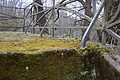 DSC02146 - Bernhard Saalfeld