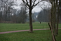 DSC02173 - Bernhard Saalfeld