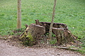 DSC02176 - Bernhard Saalfeld