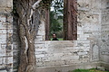 DSC02206 - Bernhard Saalfeld