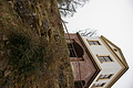 DSC02238 - Bernhard Saalfeld