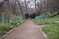 DSC02248 - Bernhard Saalfeld