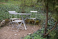 DSC02253 - Bernhard Saalfeld
