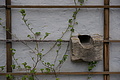 DSC02255 - Bernhard Saalfeld