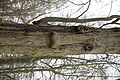 DSC02257 - Bernhard Saalfeld