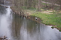 DSC02263 - Bernhard Saalfeld