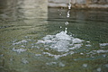 DSC02291 - Bernhard Saalfeld