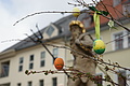 DSC02296 - Bernhard Saalfeld