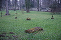 DSC02344 - Bernhard Saalfeld