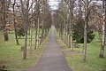 DSC02345 - Bernhard Saalfeld