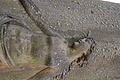 DSC02350 - Bernhard Saalfeld