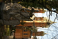DSC02367 - Bernhard Saalfeld