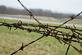 DSC02410 - Bernhard Saalfeld