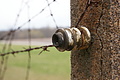 DSC02414 - Bernhard Saalfeld
