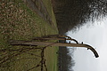 DSC02415 - Bernhard Saalfeld
