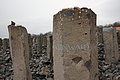 DSC02417 - Bernhard Saalfeld