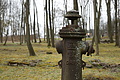 DSC02420 - Bernhard Saalfeld