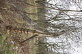 DSC02424 - Bernhard Saalfeld