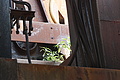 DSC01631 - Bernhard Saalfeld