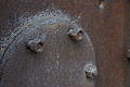 DSC01641 - Bernhard Saalfeld