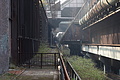 DSC01643 - Bernhard Saalfeld
