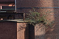 DSC01645 - Bernhard Saalfeld