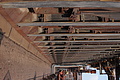 DSC01649 - Bernhard Saalfeld