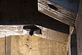 DSC01687 - Bernhard Saalfeld