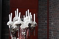 DSC01692 - Bernhard Saalfeld