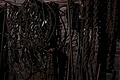 DSC07199 - Bernhard Saalfeld
