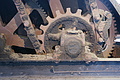 DSC07299 - Bernhard Saalfeld