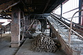 DSC07334 - Bernhard Saalfeld