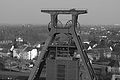 DSCF3611 - Bernhard Saalfeld