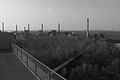DSCF3613 - Bernhard Saalfeld