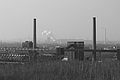 DSCF3616 - Bernhard Saalfeld