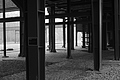 DSCF3627 - Bernhard Saalfeld