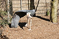 DSC08455 - Bernhard Saalfeld
