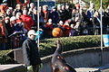 DSC08460 - Bernhard Saalfeld