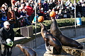 DSC08462 - Bernhard Saalfeld
