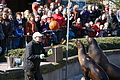 DSC08464 - Bernhard Saalfeld