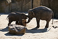 DSC08466 - Bernhard Saalfeld