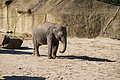 DSC08468 - Bernhard Saalfeld