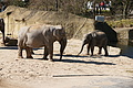 DSC08469 - Bernhard Saalfeld
