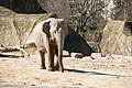 DSC08471 - Bernhard Saalfeld
